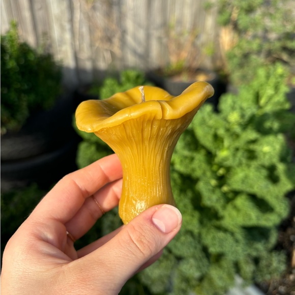 Homemade All-Natural Toxic Free 100% Beeswax Mushroom "Chanterelle" Candle - Picture 2 of 5